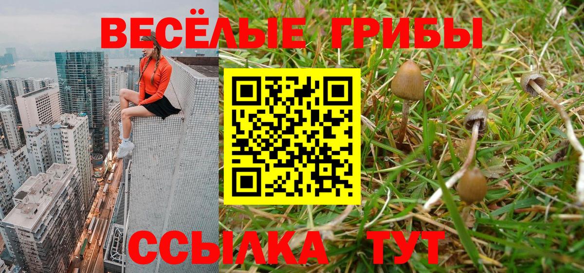 Галлюциногенные грибы GOLDEN TEACHER  Вход с VPN  Будённовск 