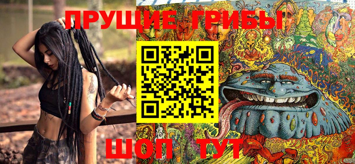 Галлюциногенные грибы Cubensis Будённовск