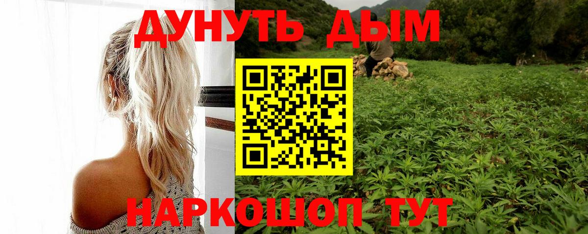 Каннабис индика Будённовск